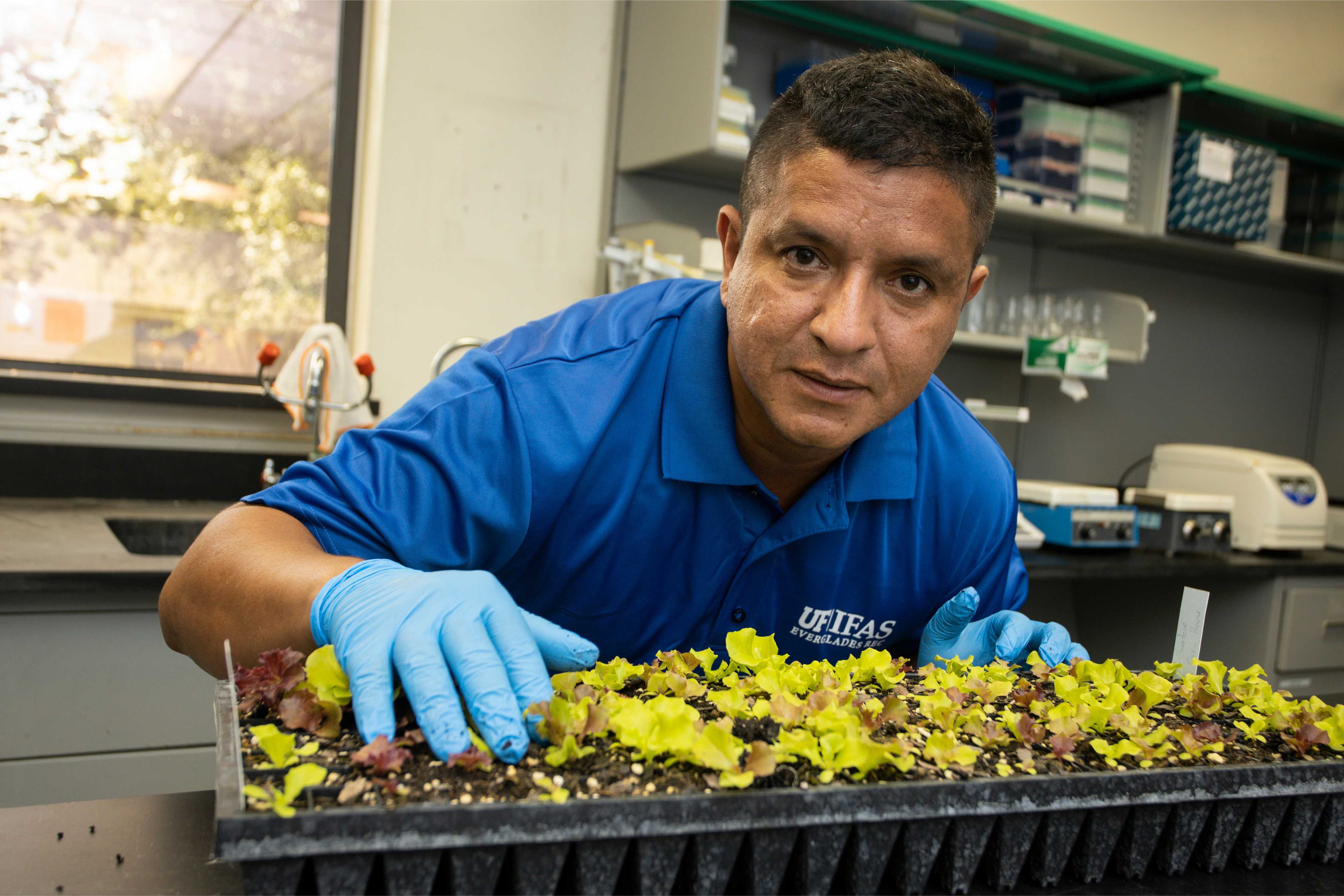 Professor taking picture with lettuce