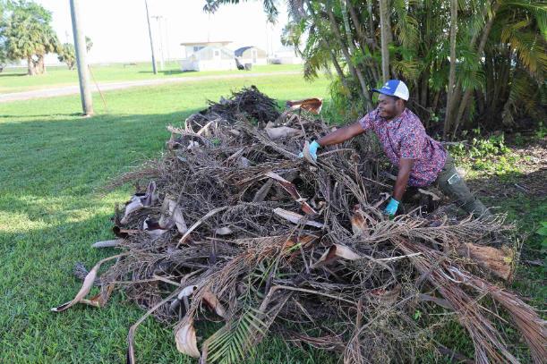 person cleaning up leaves