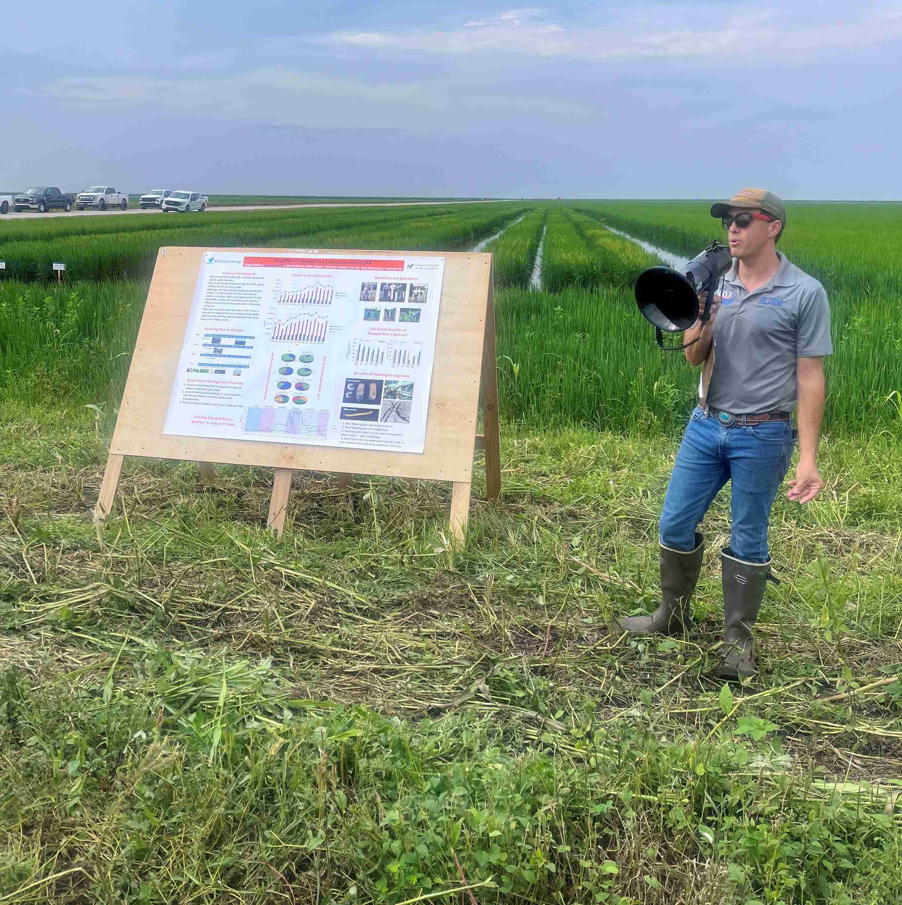 person talking in rice field